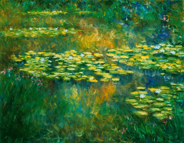 Water-Lilies-50F